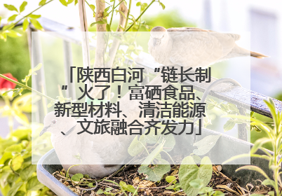 陕西白河“链长制”火了！富硒食品、新型材料、清洁能源、文旅融合齐发力