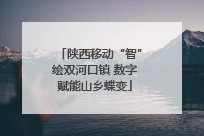 陕西移动“智”绘双河口镇 数字赋能山乡蝶变