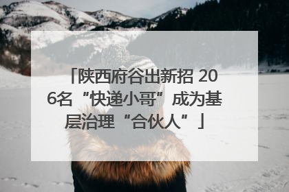 陕西府谷出新招 206名“快递小哥”成为基层治理“合伙人”
