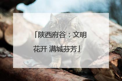 陕西府谷：文明花开 满城芬芳