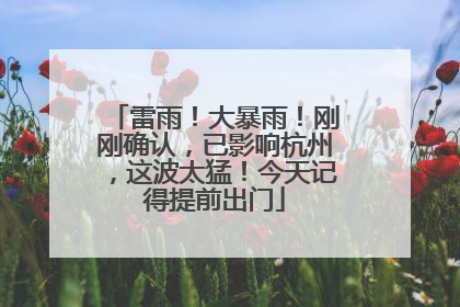 雷雨！大暴雨！刚刚确认，已影响杭州，这波太猛！今天记得提前出门