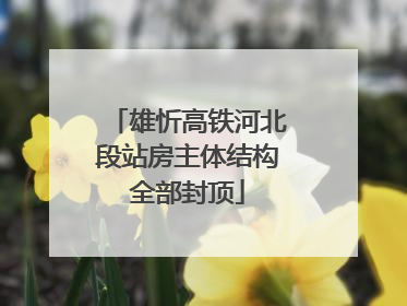 雄忻高铁河北段站房主体结构全部封顶