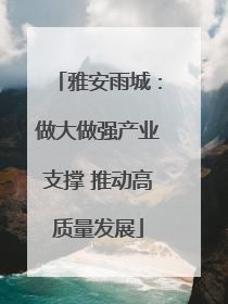 雅安雨城：做大做强产业支撑 推动高质量发展