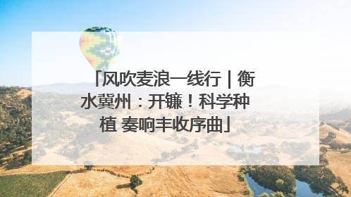 风吹麦浪一线行｜衡水冀州：开镰！科学种植 奏响丰收序曲