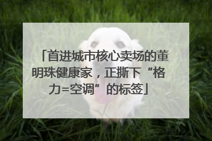 首进城市核心卖场的董明珠健康家，正撕下“格力=空调”的标签