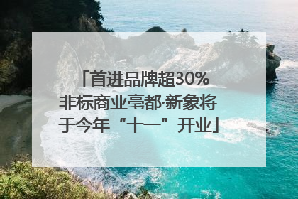 首进品牌超30% 非标商业亳都·新象将于今年“十一”开业