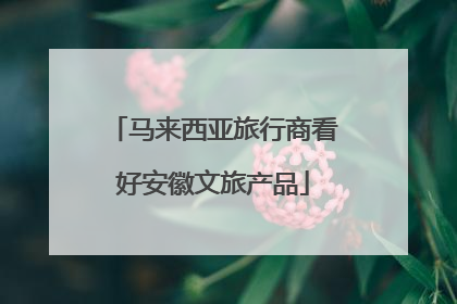 马来西亚旅行商看好安徽文旅产品