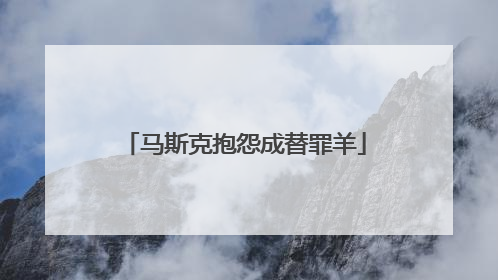 马斯克抱怨成替罪羊