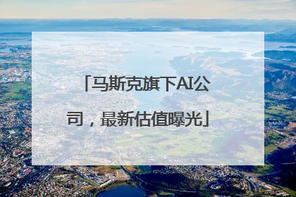 马斯克旗下AI公司，最新估值曝光