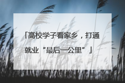 高校学子看家乡，打通就业“最后一公里”