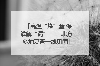 高温“烤”验 保灌解“渴”——北方多地夏管一线见闻