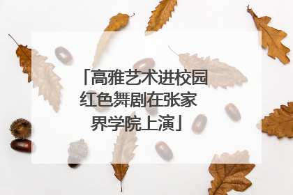 高雅艺术进校园 红色舞剧在张家界学院上演