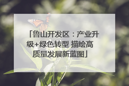 鲁山开发区：产业升级+绿色转型 描绘高质量发展新蓝图