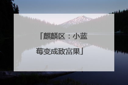 麒麟区：小蓝莓变成致富果