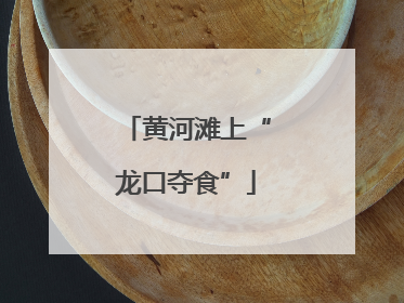 黄河滩上“龙口夺食”