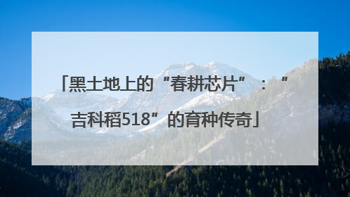 黑土地上的“春耕芯片”：“吉科稻518”的育种传奇