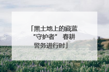 黑土地上的藏蓝“守护者” 春耕警务进行时