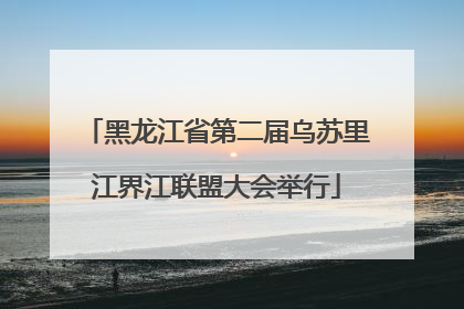 黑龙江省第二届乌苏里江界江联盟大会举行