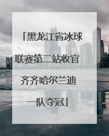 黑龙江省冰球联赛第二站收官 齐齐哈尔兰迪一队夺冠