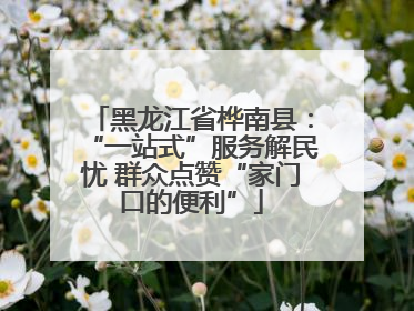 黑龙江省桦南县：“一站式”服务解民忧 群众点赞“家门口的便利”