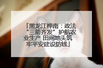 黑龙江桦南：政法“三箭齐发”护航农业生产 田间地头筑牢平安建设防线