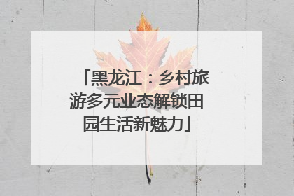 黑龙江：乡村旅游多元业态解锁田园生活新魅力