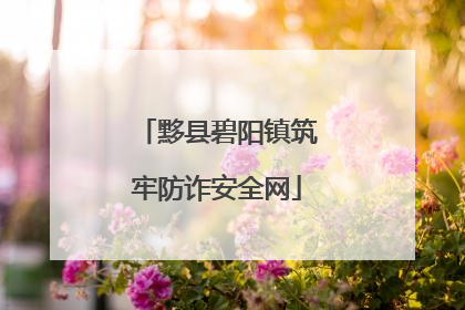 黟县碧阳镇筑牢防诈安全网