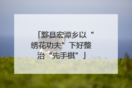 黟县宏潭乡以“绣花功夫”下好整治“先手棋”