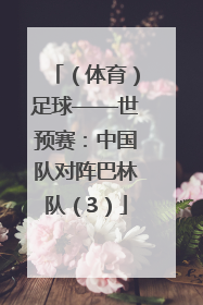 （体育）足球——世预赛：中国队对阵巴林队（3）