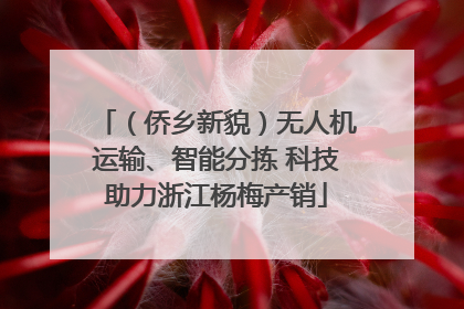 （侨乡新貌）无人机运输、智能分拣 科技助力浙江杨梅产销