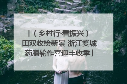 （乡村行·看振兴）一田双收绘新景 浙江婺城药膳轮作喜迎丰收季