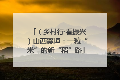 （乡村行·看振兴）山西襄垣：一粒“米”的新“稻”路