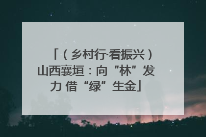 （乡村行·看振兴）山西襄垣：向“林”发力 借“绿”生金