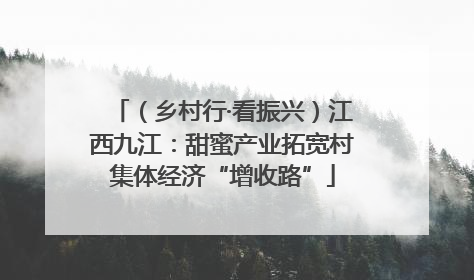 （乡村行·看振兴）江西九江：甜蜜产业拓宽村集体经济“增收路”