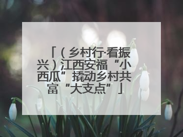 （乡村行·看振兴）江西安福“小西瓜”撬动乡村共富“大支点”