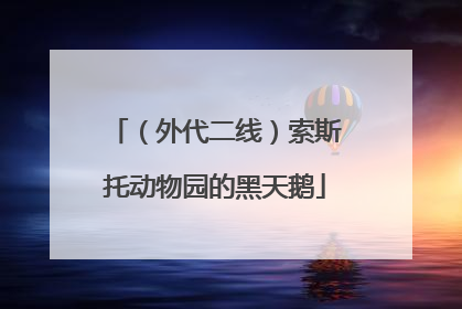 （外代二线）索斯托动物园的黑天鹅