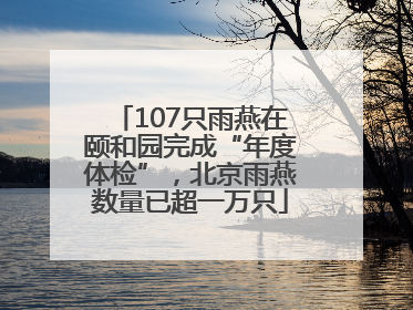 107只雨燕在颐和园完成“年度体检”，北京雨燕数量已超一万只