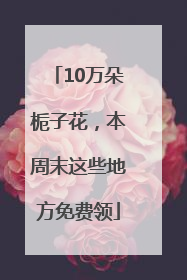10万朵栀子花，本周末这些地方免费领
