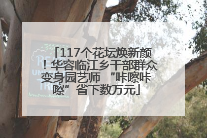 117个花坛焕新颜！华容临江乡干部群众变身园艺师 “咔嚓咔嚓”省下数万元