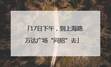 17日下午，到上海路万达广场“问招”去