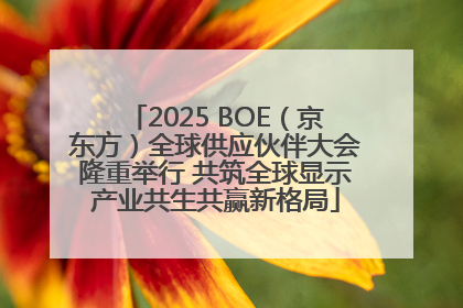 2025 BOE（京东方）全球供应伙伴大会隆重举行 共筑全球显示产业共生共赢新格局