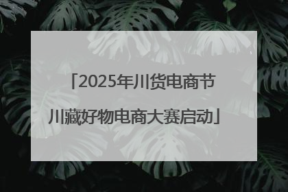 2025年川货电商节川藏好物电商大赛启动