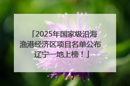 2025年国家级沿海渔港经济区项目名单公布 辽宁一地上榜！