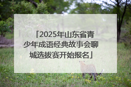 2025年山东省青少年成语经典故事会聊城选拔赛开始报名