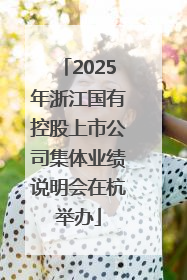 2025年浙江国有控股上市公司集体业绩说明会在杭举办
