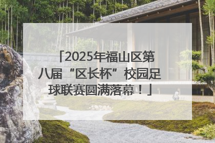 2025年福山区第八届“区长杯”校园足球联赛圆满落幕！