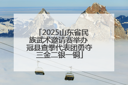 2025山东省民族武术邀请赛举办 冠县查拳代表团勇夺三金二银一铜