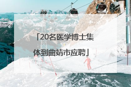 20名医学博士集体到曲靖市应聘