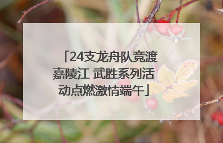 24支龙舟队竞渡嘉陵江 武胜系列活动点燃激情端午
