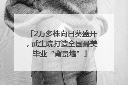 2万多株向日葵盛开，武生院打造全国最美毕业“背景墙”